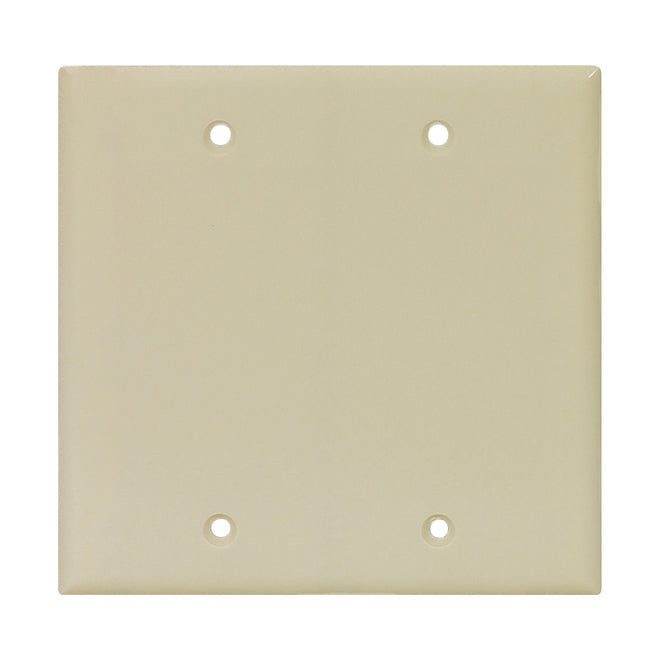 Eaton 2-Gang 1-Pack White Blank Standard Wall Plate-