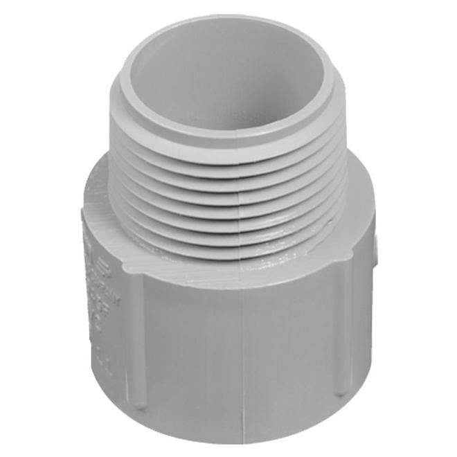 CARLON 1/2-in PVC Male Terminal Adapter-Each