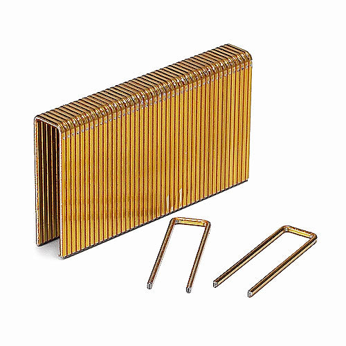 Paslode Flooring Staples - Galvanized Steel - 1 3/4-in Leg - 5000 Per Pack - Box