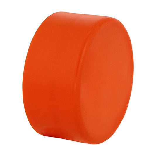 IPEX 2-in Orange Plastic Test Cap -