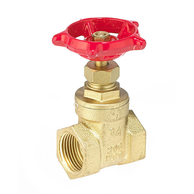 3/4" Threaded Brass Gate Valve - Each