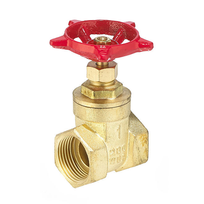 1" Threaded Brass Gate Valve - Each