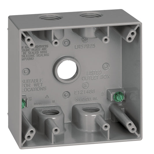 Thomas & Betts 2-Gang Silver Metal Weatherproof Interior/Exterior New Work Standard Rectangular Electrical Box-Each