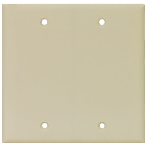 Blank Wall Plate - 2-Gang - Polymer - Ivory-