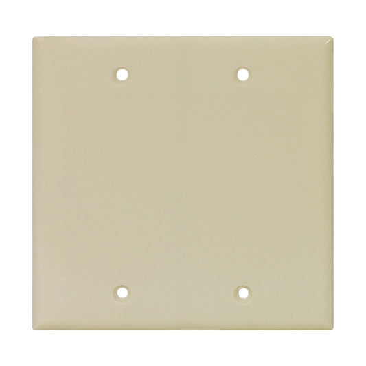 Eaton 2-Gang 1-Pack White Blank Standard Wall Plate-