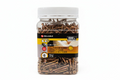 All Purpose #8 1 1/2" Screws (600 pieces)