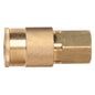 Campbell Hausfeld 1/4-in Industrial Female Coupler - Each